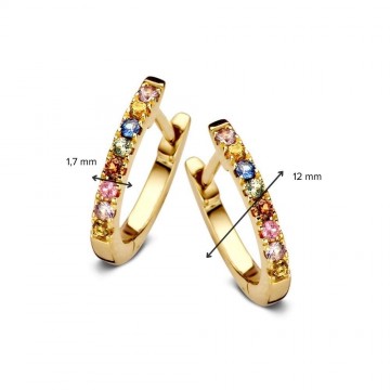 Oorringen geelgoud saffier 27990 nl g