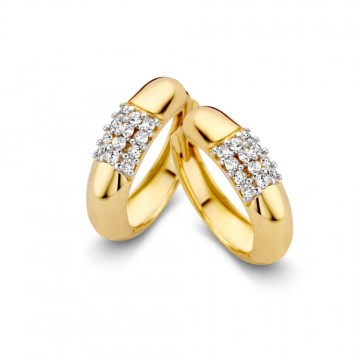 Oorringen geelgoud zirkonia 15156 nl g