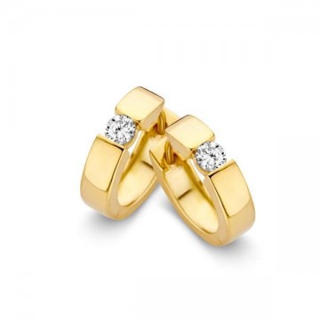 Oorringen geelgoud zirkonia 15674 nl g