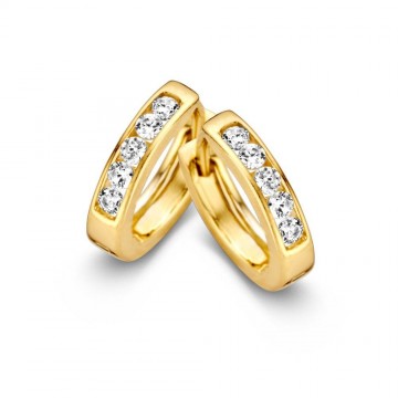 Oorringen geelgoud zirkonia 18342 nl g