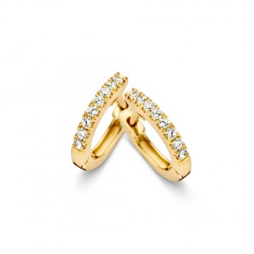 Oorringen geelgoud zirkonia 18979 nl g