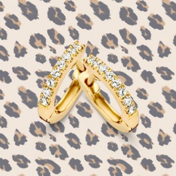 Oorringen geelgoud zirkonia 19236 nl g