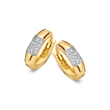 Oorringen geelgoud zirkonia 22237 nl g