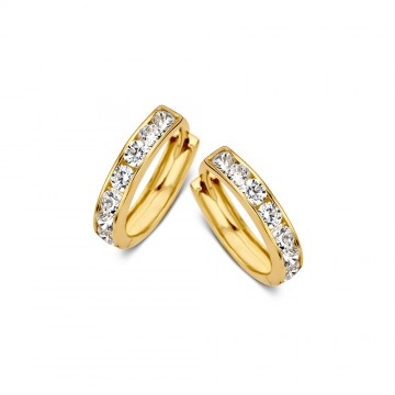 Oorringen geelgoud zirkonia 22247 nl g