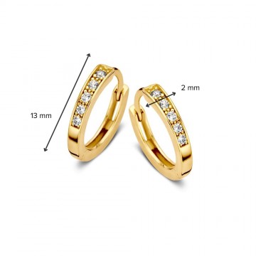 Oorringen geelgoud zirkonia 26868 nl g