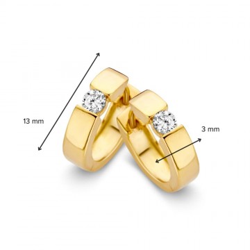 Oorringen geelgoud zirkonia 26869 nl g