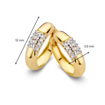 Oorringen geelgoud zirkonia 26880 nl g