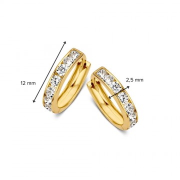 Oorringen geelgoud zirkonia 26897 nl g