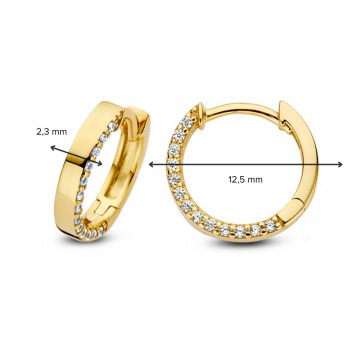 Oorringen geelgoud zirkonia 27169 nl g