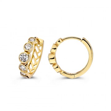 Oorringen geelgoud zirkonia 30560 nl g
