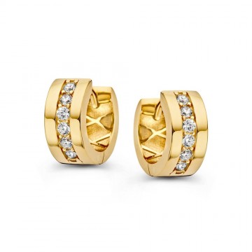 Oorringen geelgoud zirkonia 31572 nl g