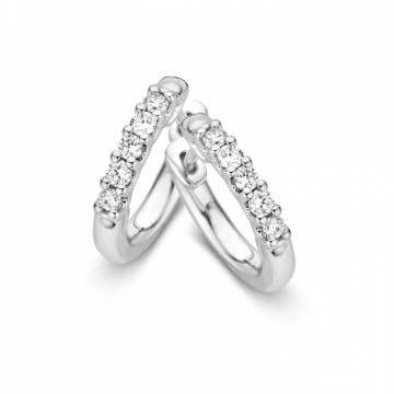 Oorringen witgoud briljant 0 20 crt 14977 nl g