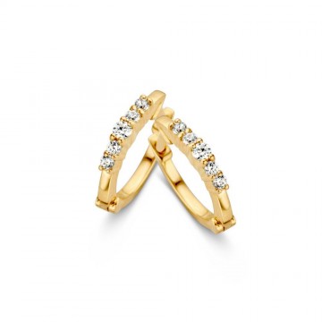 Oorsteker geelgoud zirkonia 42244 1 g