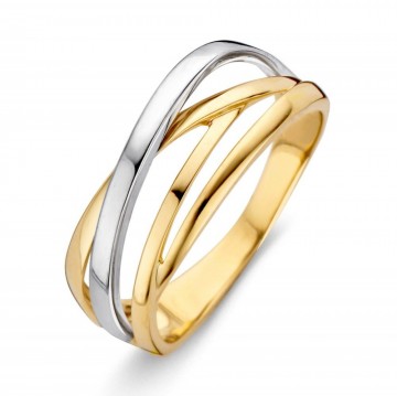 Ring bicolor 15887 nl g