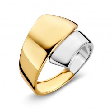 Ring bicolor 16029 nl g