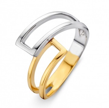 Ring bicolor 16113 nl g