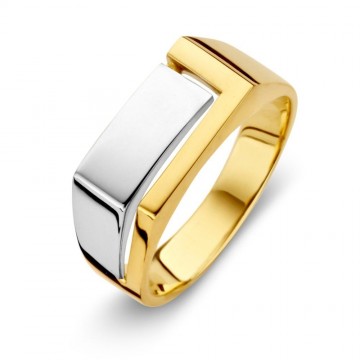 Ring bicolor 19184 nl g