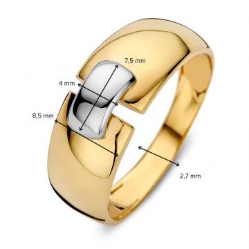 Ring bicolor 27213 nl g