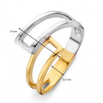 Ring bicolor 30181 nl g