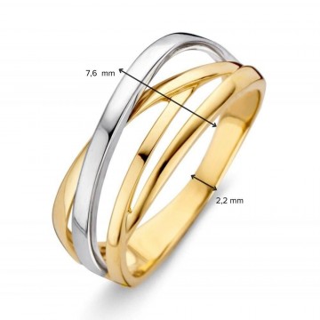 Ring bicolor 30207 nl g