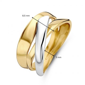 Ring bicolor 31225 nl g