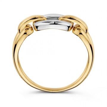 Ring bicolor 31267 nl g