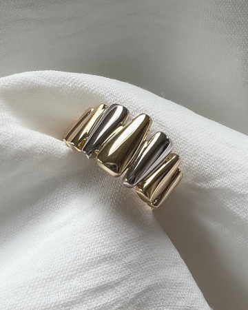 Ring bicolor 31410 nl g