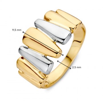 Ring bicolor 31458 nl g