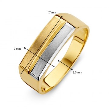 Ring bicolor 31490 nl g