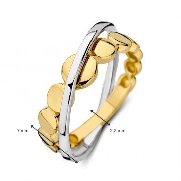 Ring bicolor 31903 nl g