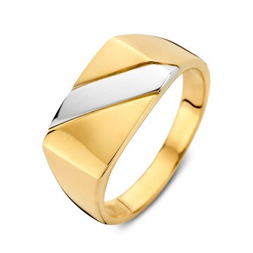 Ring bicolor 32713 nl g