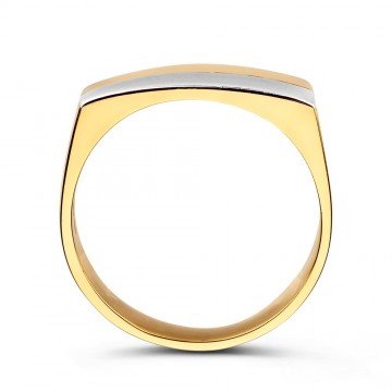 Ring bicolor 32716 nl g