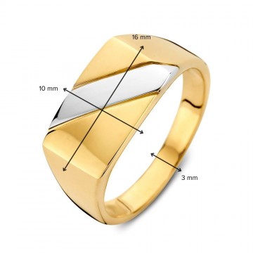 Ring bicolor 32787 nl g