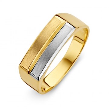 Ring bicolor 6104 1 g