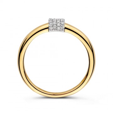 Ring bicolor briljant 0 10 crt 32946 nl g