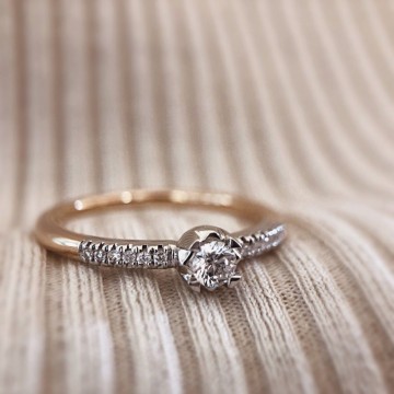 Ring bicolor briljant 0 20 crt 19872 nl g