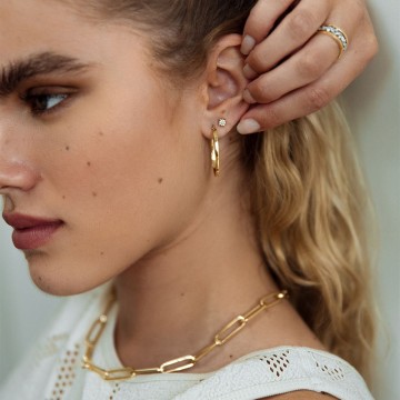 Ring bicolor briljant 0 20 crt 24084 nl g