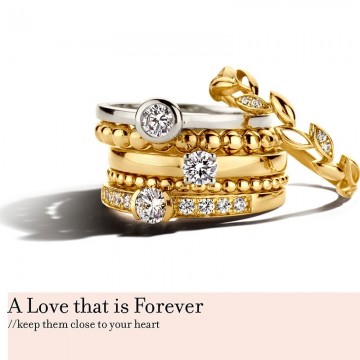 Ring bicolor zirkonia 21205 nl g