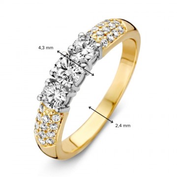Ring bicolor zirkonia 31486 nl g