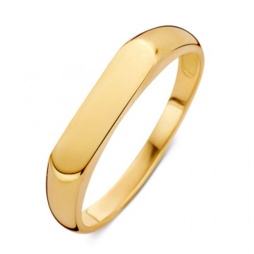 Ring geelgoud 20308 nl g
