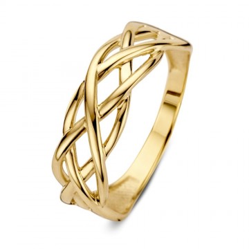 Ring geelgoud 24490 nl g