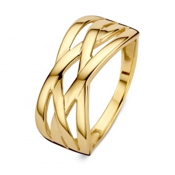 Ring geelgoud 24494 nl g