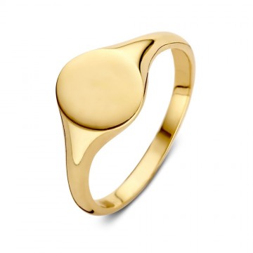 Ring geelgoud 24501 nl g