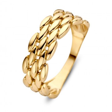 Ring geelgoud 25793 nl g