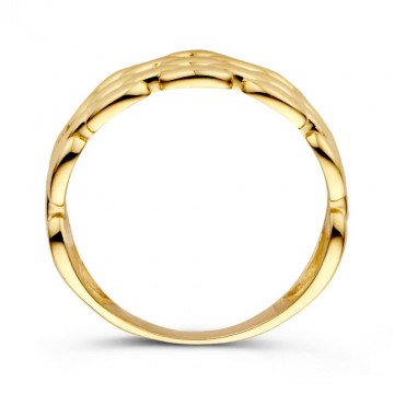 Ring geelgoud 25794 nl g