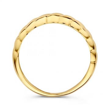Ring geelgoud 25911 nl g