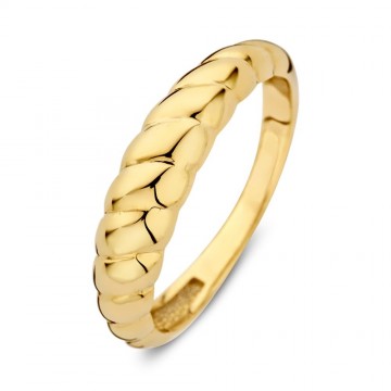 Ring geelgoud 25912 nl g