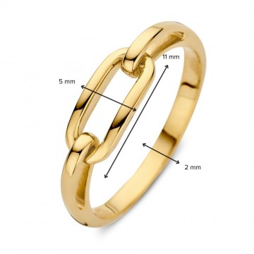 Ring geelgoud 27243 nl g