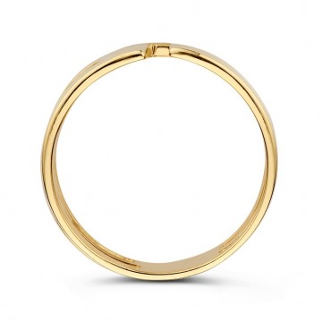Ring geelgoud 27382 nl g
