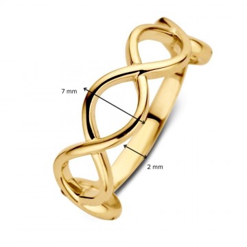 Ring geelgoud 30081 nl g